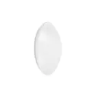 Ledvance LED Bulkhead Surface Circulair 250 Wit 13W 920lm - 830 Warm Wit | 250mm - IP44